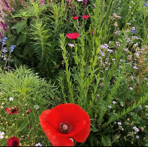 $385,000 | 1020 Abbey Road, Northfield, MN 55057