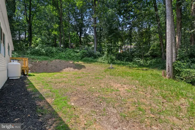 a view of a yard with trees