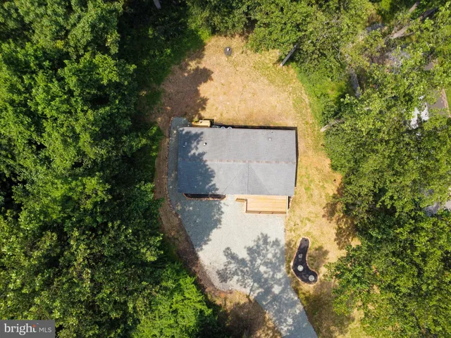 view of a yard with plants and large trees