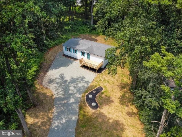 a view of a yard with plants