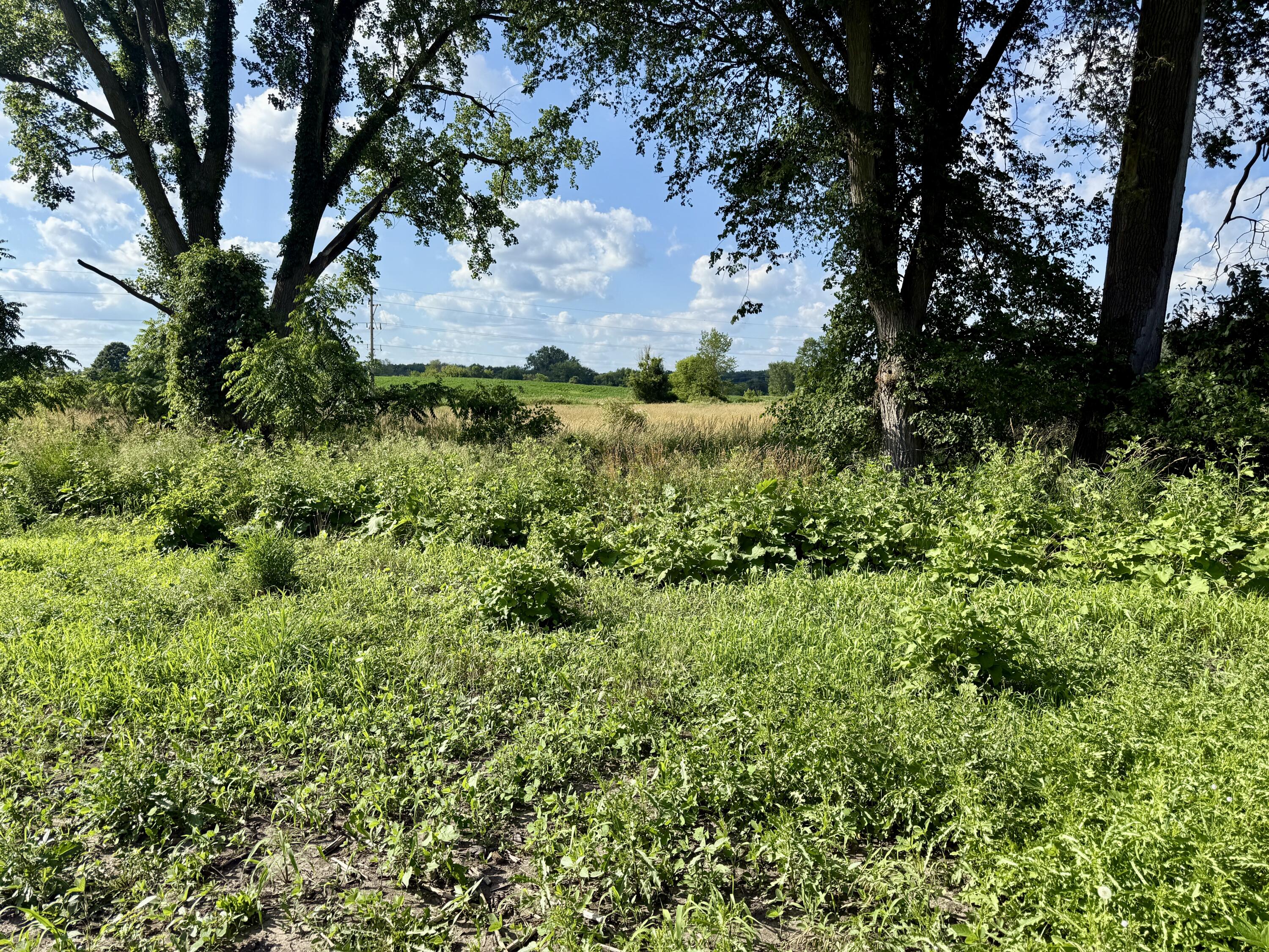 Dewey Road Munith, MI 49259 - Photo 18 of 35 IMG_5676