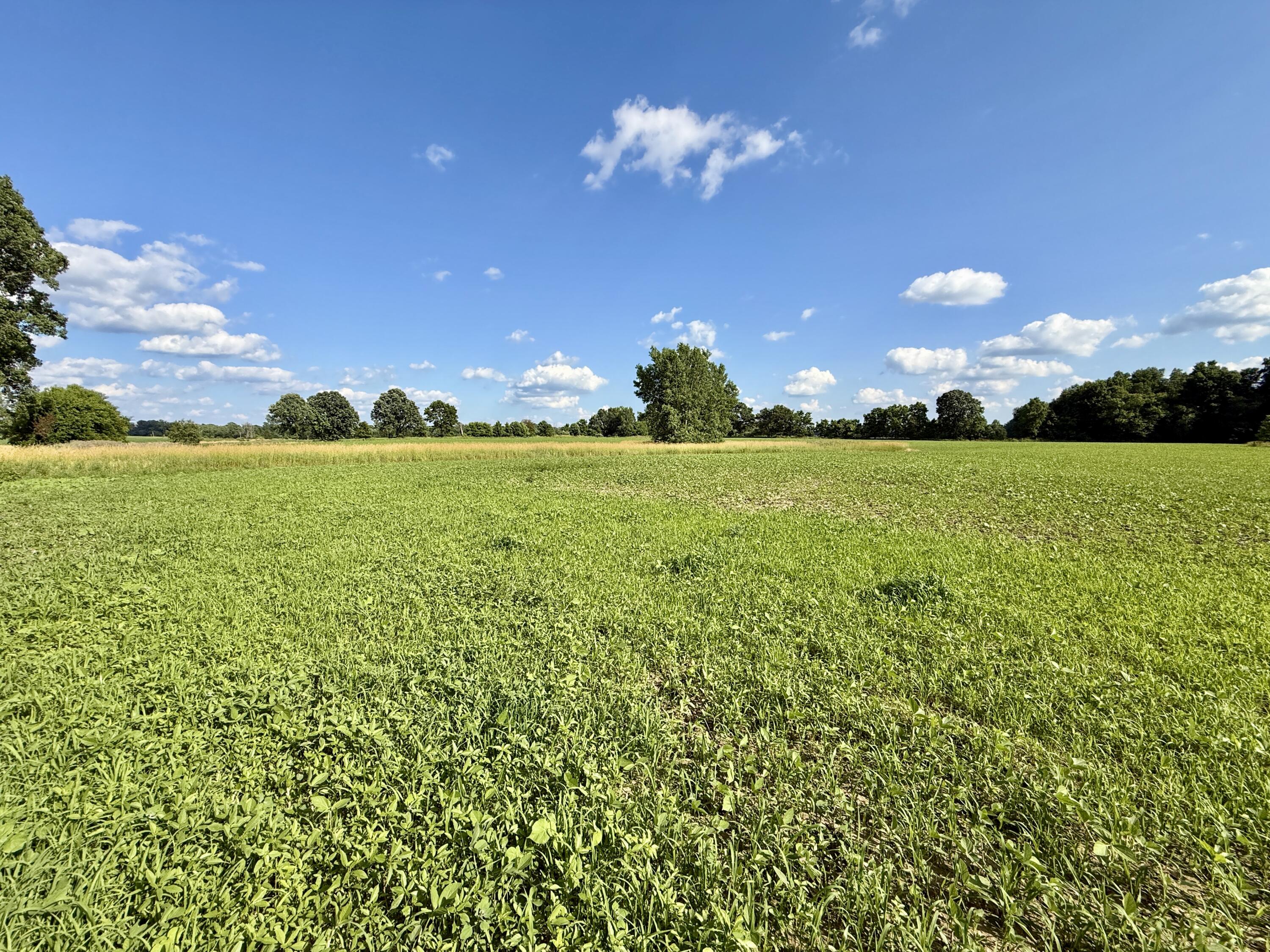 Dewey Road Munith, MI 49259 - Photo 21 of 35 IMG_5679
