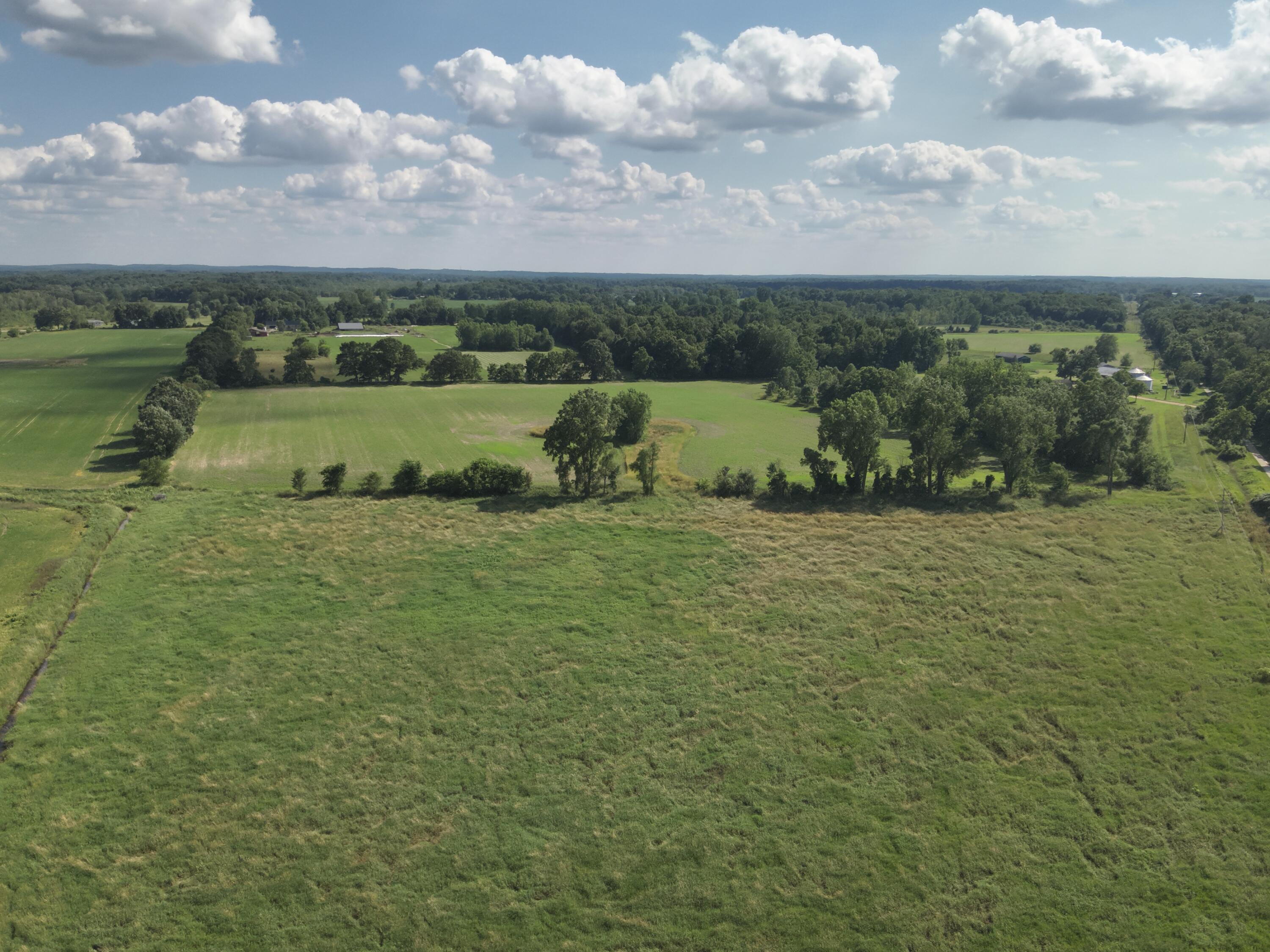 Dewey Road Munith, MI 49259 - Photo 3 of 35 DJI_20250702051500_0006_V