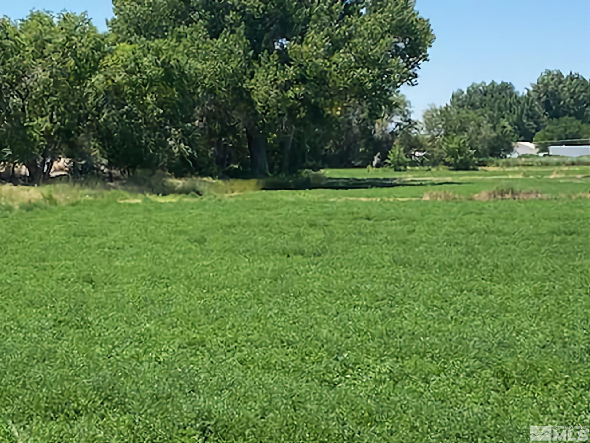 a view of outdoor space with green field and trees