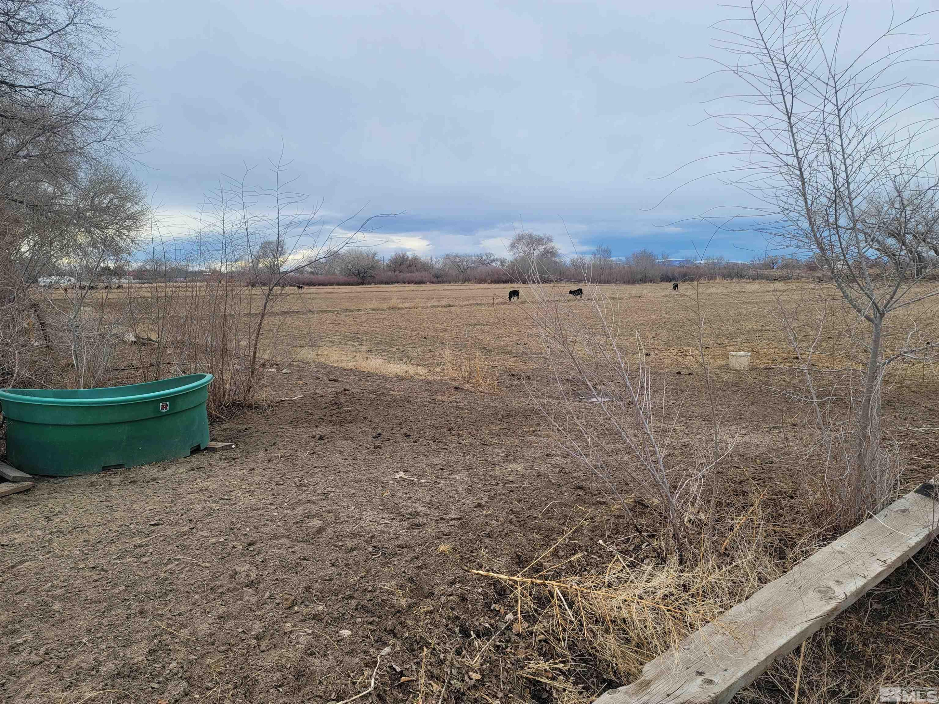 900 Calkin / Rice Road, Unit CALKIN / RICE RD Fallon, NV 89406 - Photo 11 of 11 a view of a backyard