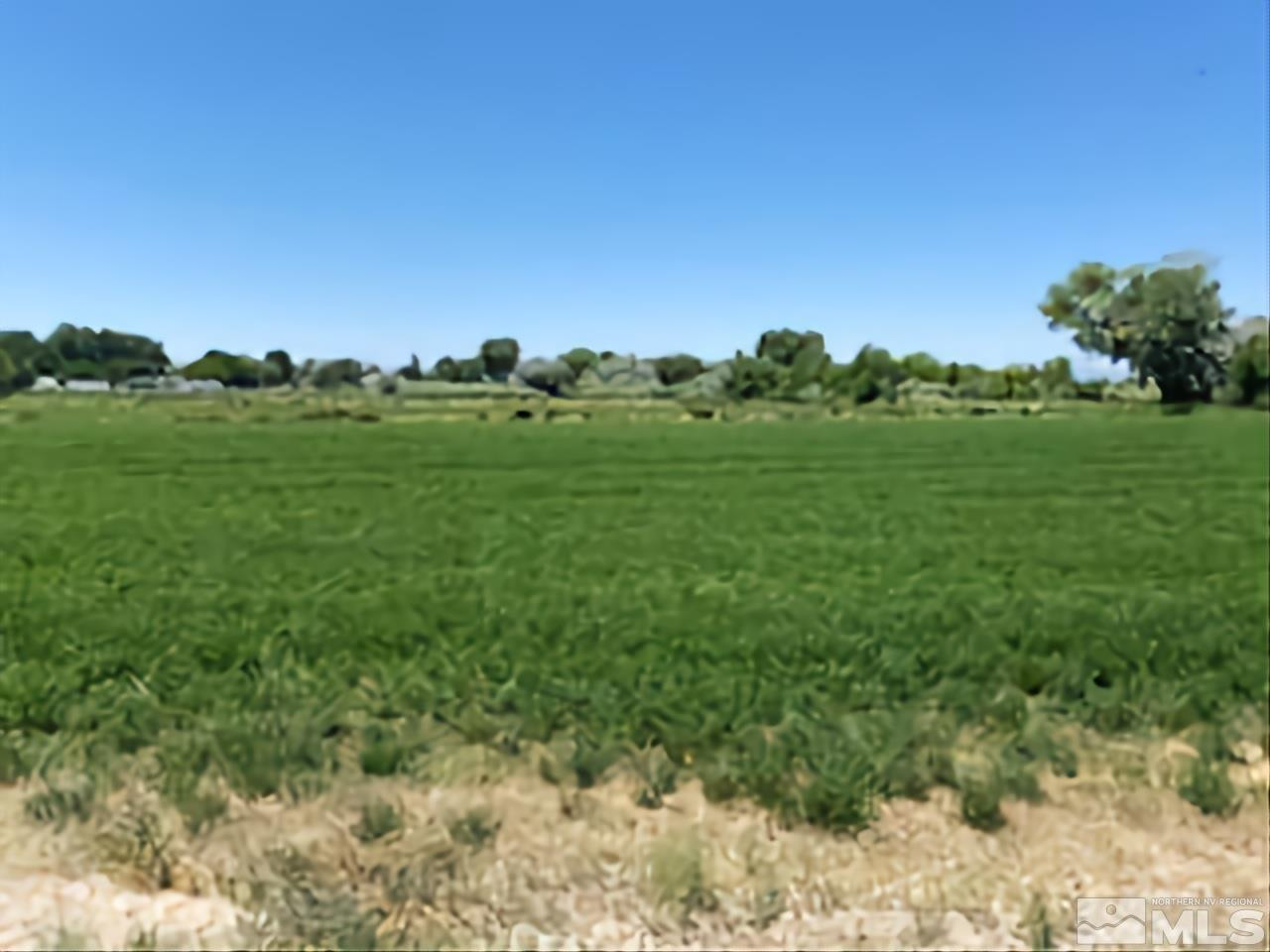 900 Calkin / Rice Road, Unit CALKIN / RICE RD Fallon, NV 89406 - Photo 2 of 11 a view of a field with plants and trees in the background