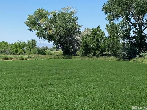 a view of a grassy field with trees