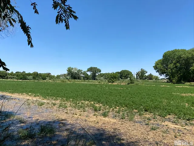 a view of a lake with a park