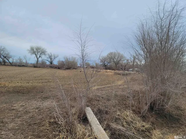 a view of a dry yard