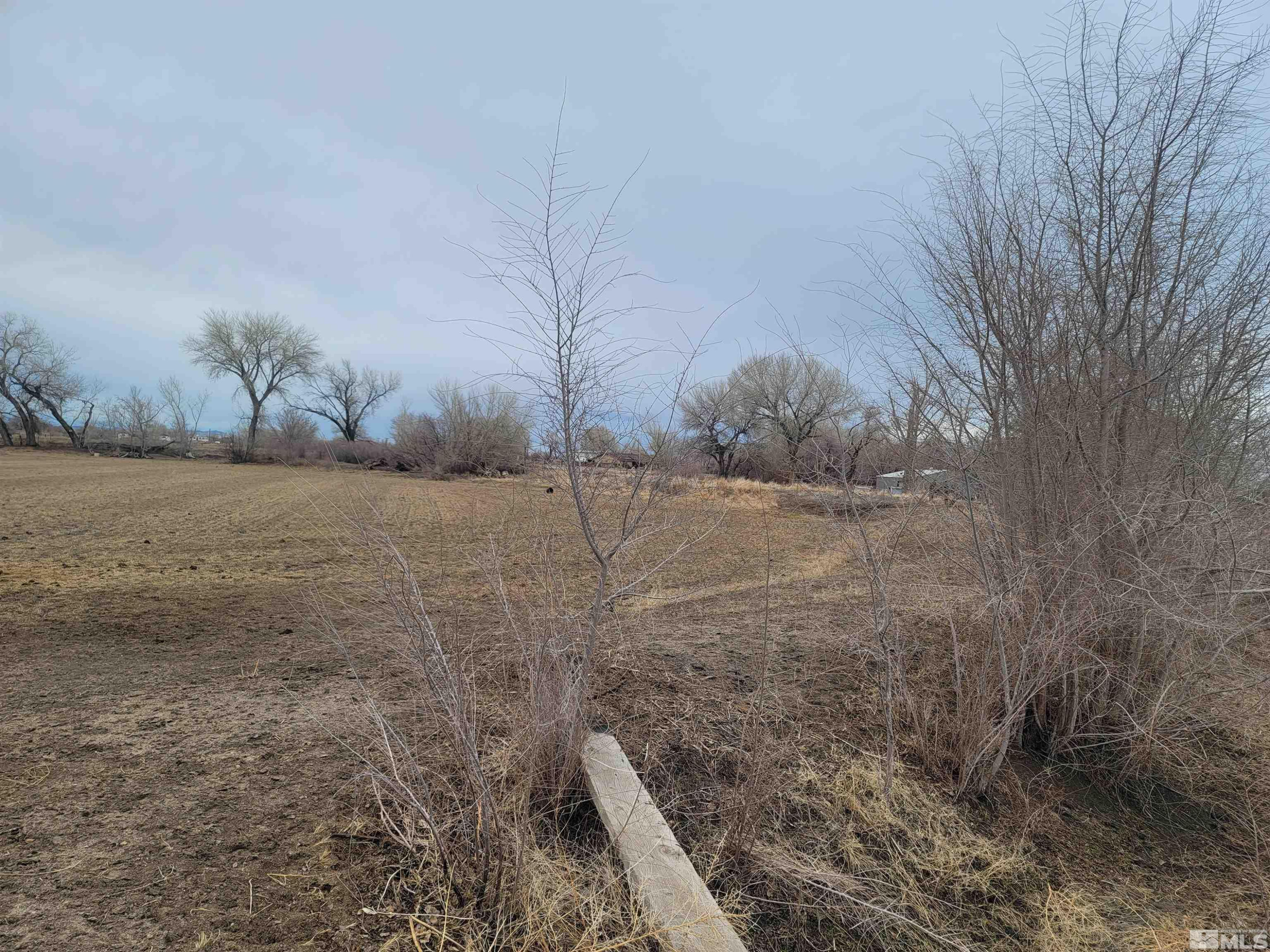 900 Calkin / Rice Road, Unit CALKIN / RICE RD Fallon, NV 89406 - Photo 6 of 11 a view of a dry yard