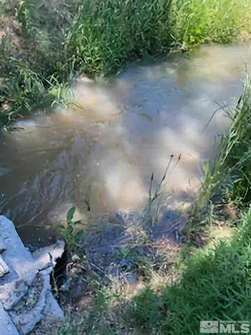 a view of a lake with a yard