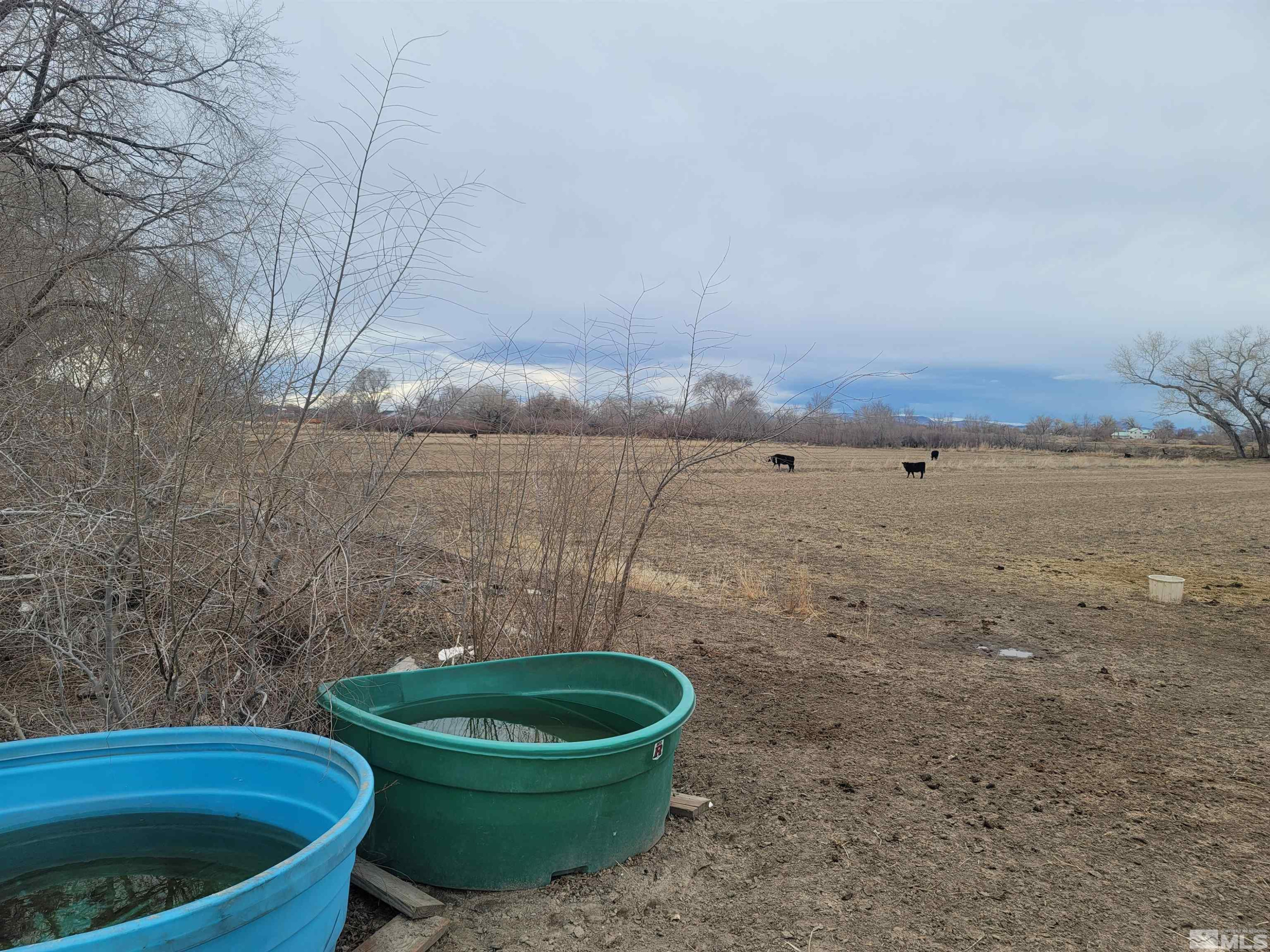 900 Calkin / Rice Road, Unit CALKIN / RICE RD Fallon, NV 89406 - Photo 10 of 11 a view of outdoor space and yard
