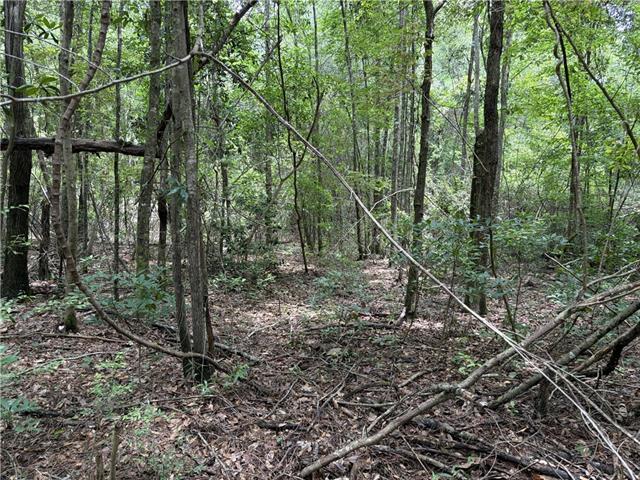0 Thigpen Road Franklinton, LA 70438 - Photo 19 of 34