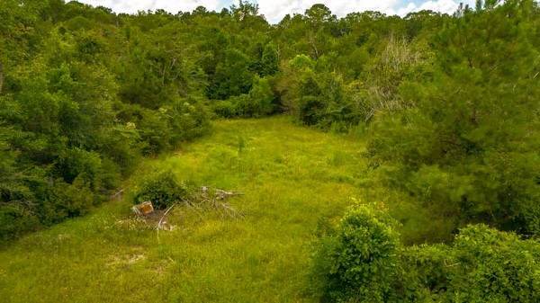 a view of a big yard with green space