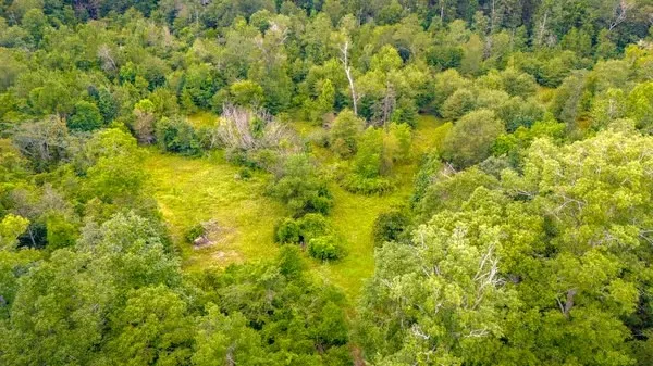 a view of a field with an ocean