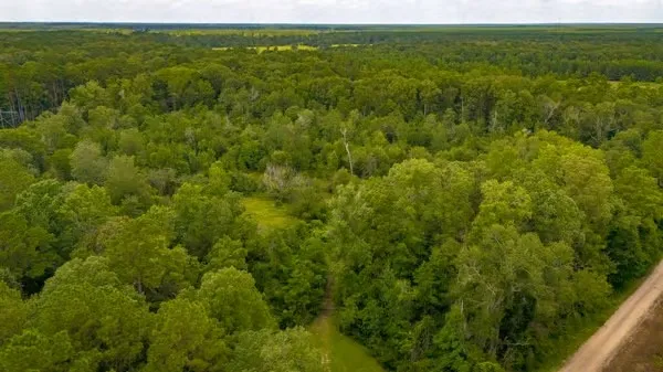 a view of a big yard