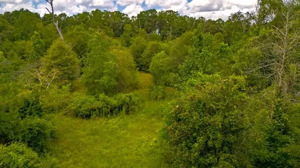 a view of yard with green space