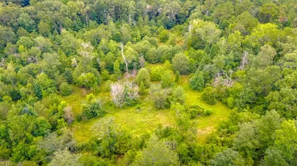 a view of a big yard of grass and trees