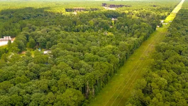 a view of a large yard with lots of trees