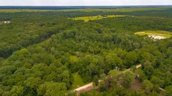 a view of a field with an ocean