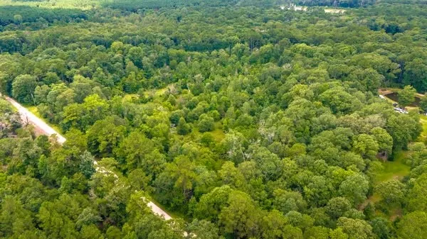 a view of a large yard with lots of green space