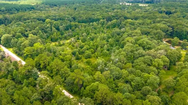 a view of a big yard