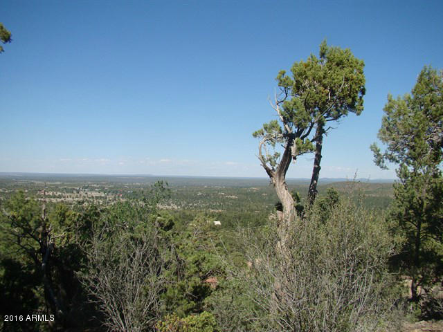 6324 Deer Run Road Show Low, AZ 85901 - Photo 33 of 36 033_View