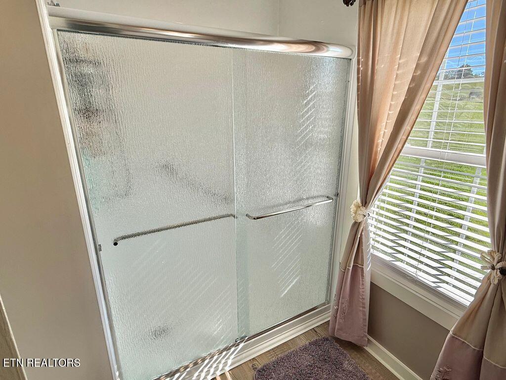 10845 Richland Road Mascot, TN 37806 - Photo 13 of 43 Shower