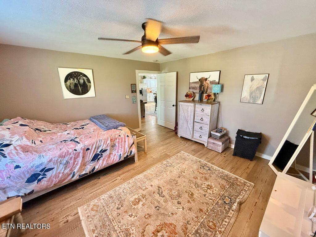 10845 Richland Road Mascot, TN 37806 - Photo 20 of 43 Primary Bedroom