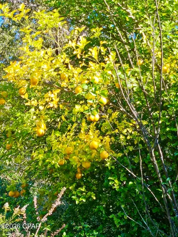 $160,000 | 2338 Highway 81, Ponce de Leon, FL 32455