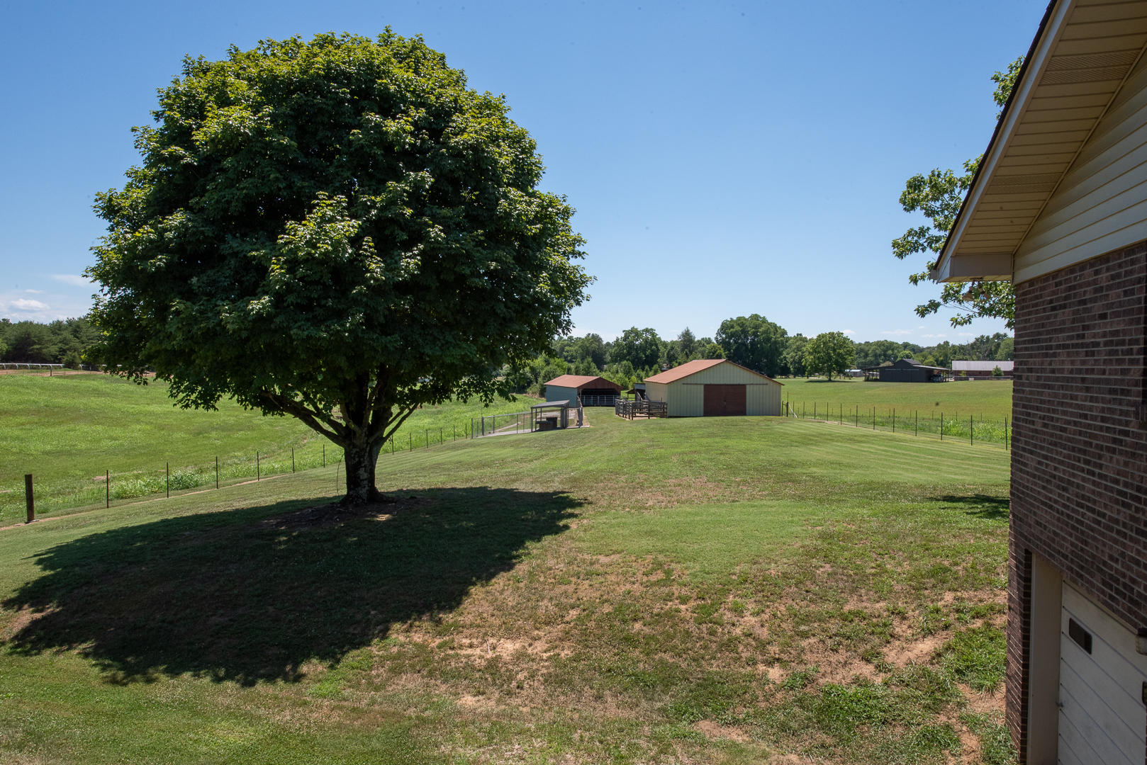 3228 Morganton Road Maryville, TN 37801 - Photo 18 of 25 Back Yard