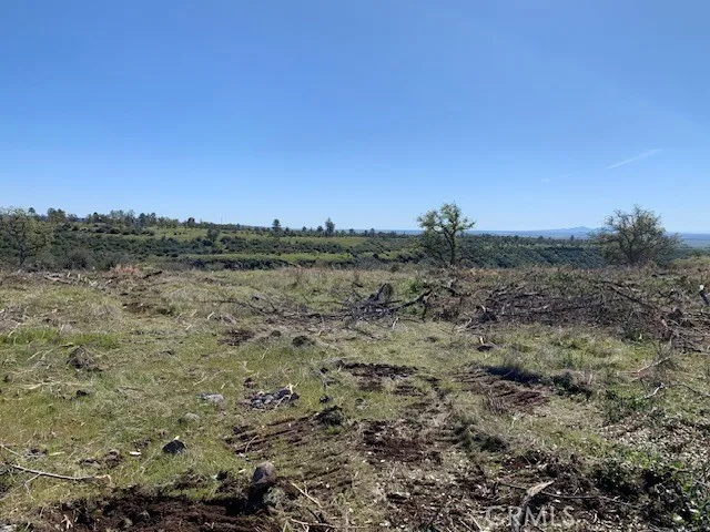 a view of a field with trees in background