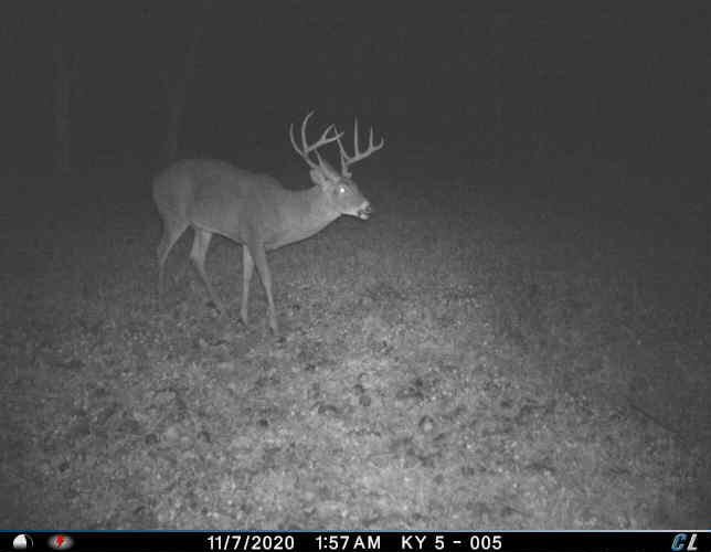 0 Mann Road Mount Olivet, KY 41064 - Photo 35 of 46