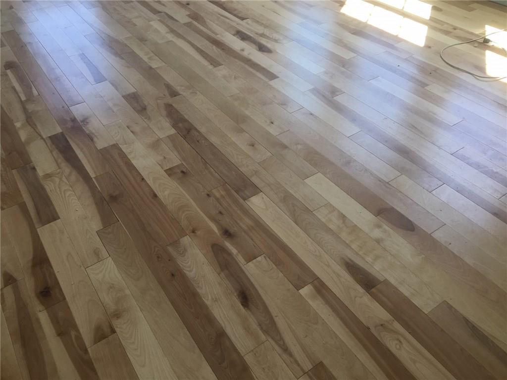 30 Ellis Court Bangor, ME 04401 - Photo 27 of 35 Sample Floor