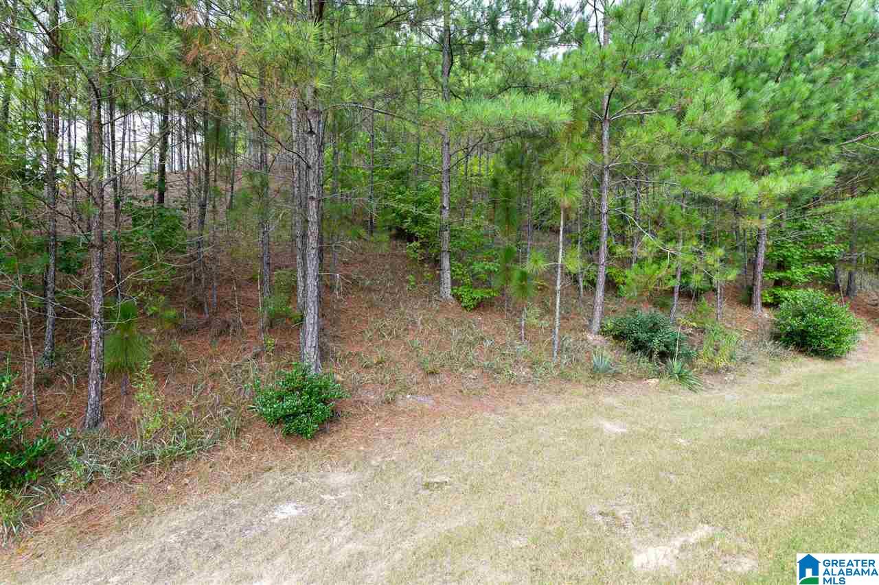 215 Chesser Way Chelsea, AL 35043 - Photo 36 of 45