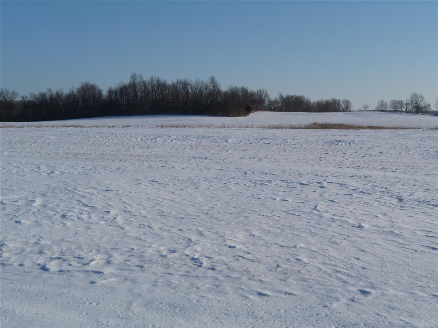 0 Ford Road, Unit 1 St. Paris, OH 43072 - Photo 5 of 8