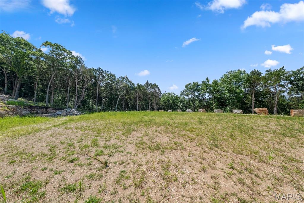 32-ac Twin River Road Eureka, MO 63025 - Photo 11 of 25