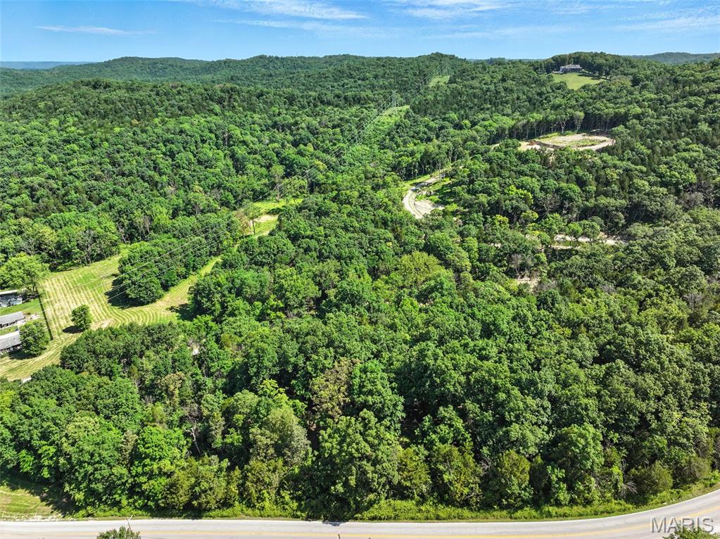 32-ac Twin River Road Eureka, MO 63025 - Photo 5 of 25