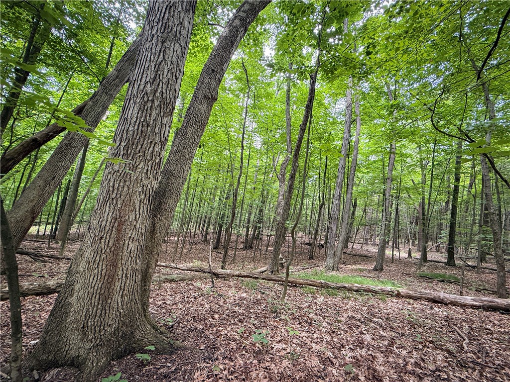 5401 Old Bath Road Barrington, NY 14837 - Photo 37 of 50