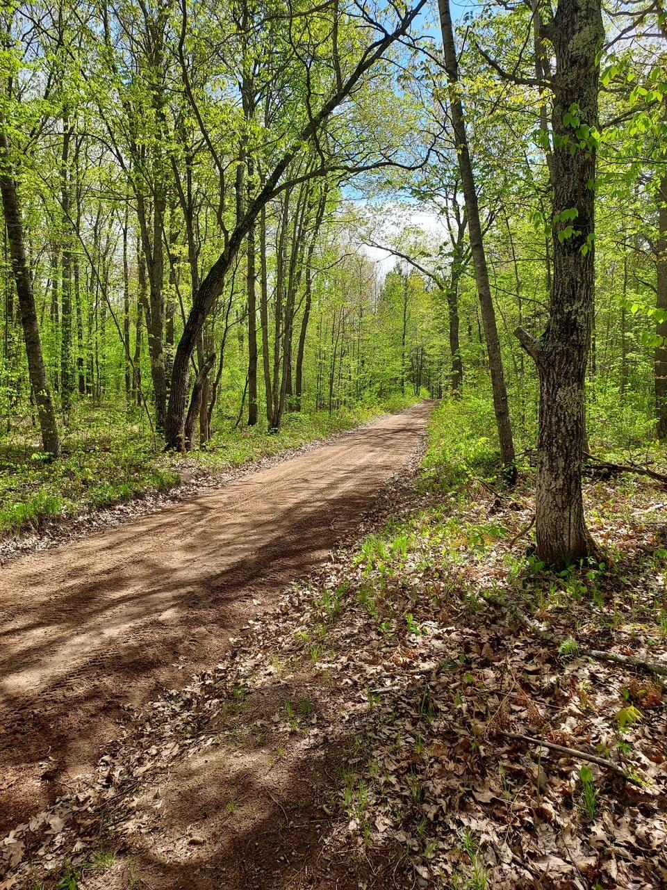 64100 East Ruth Lake Road Iron River, WI 54847 - Photo 12 of 16