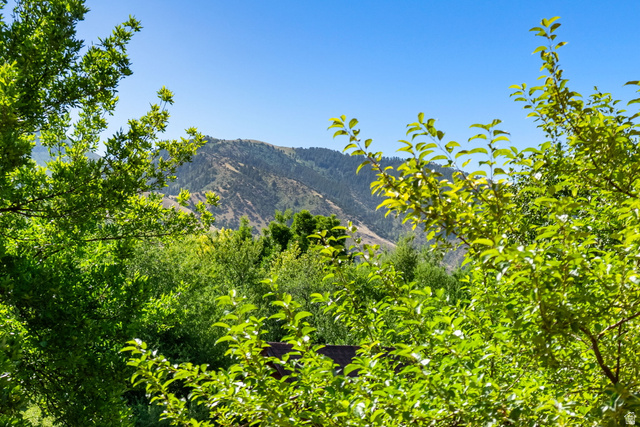 435 Canyon Road Millville, UT 84326 - Photo 31 of 113 Expansive mountain scenery with a clear blue sky