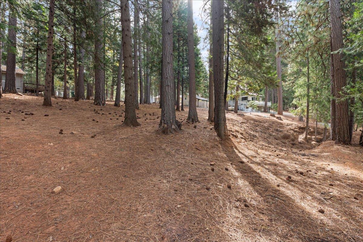 5360 Pine Ridge Drive Grizzly Flats, CA 95636 - Photo 28 of 36 a view of a forest with trees in the background