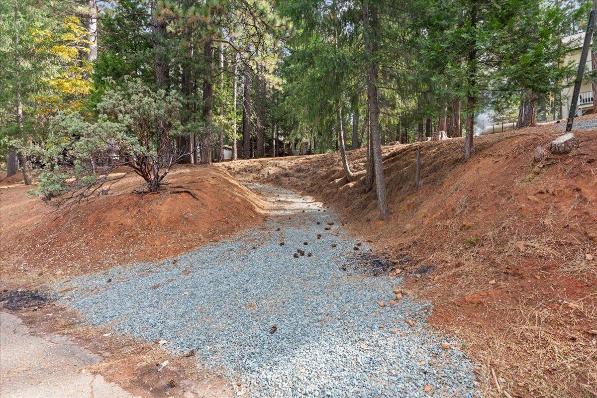 5360 Pine Ridge Drive Grizzly Flats, CA 95636 - Photo 29 of 36 a view of a out door space