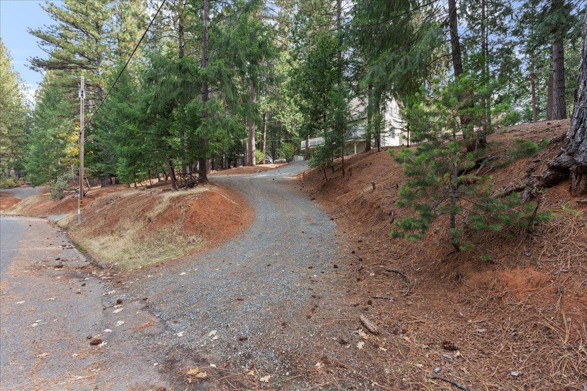 5360 Pine Ridge Drive Grizzly Flats, CA 95636 - Photo 32 of 36 a view of a yard with a tree