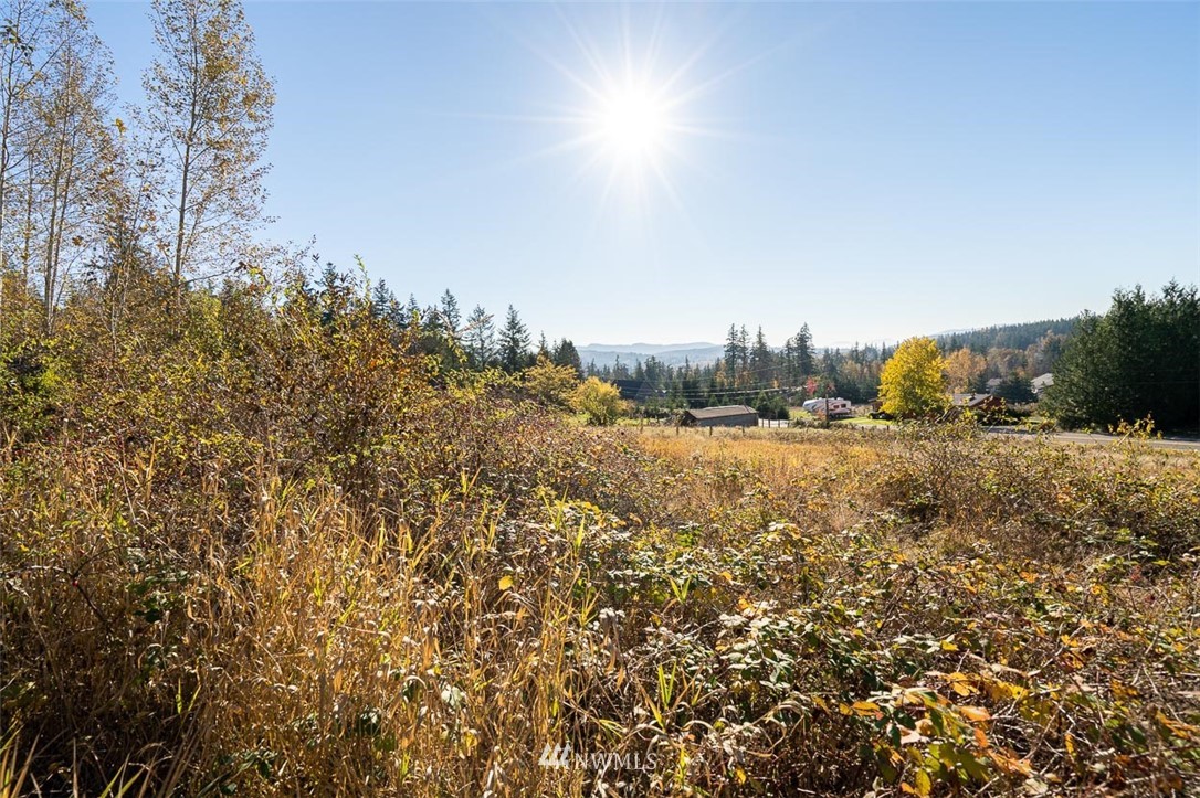 3739 Toad Lake Road Bellingham, WA 98226 - Photo 22 of 35 Gallery Image 22