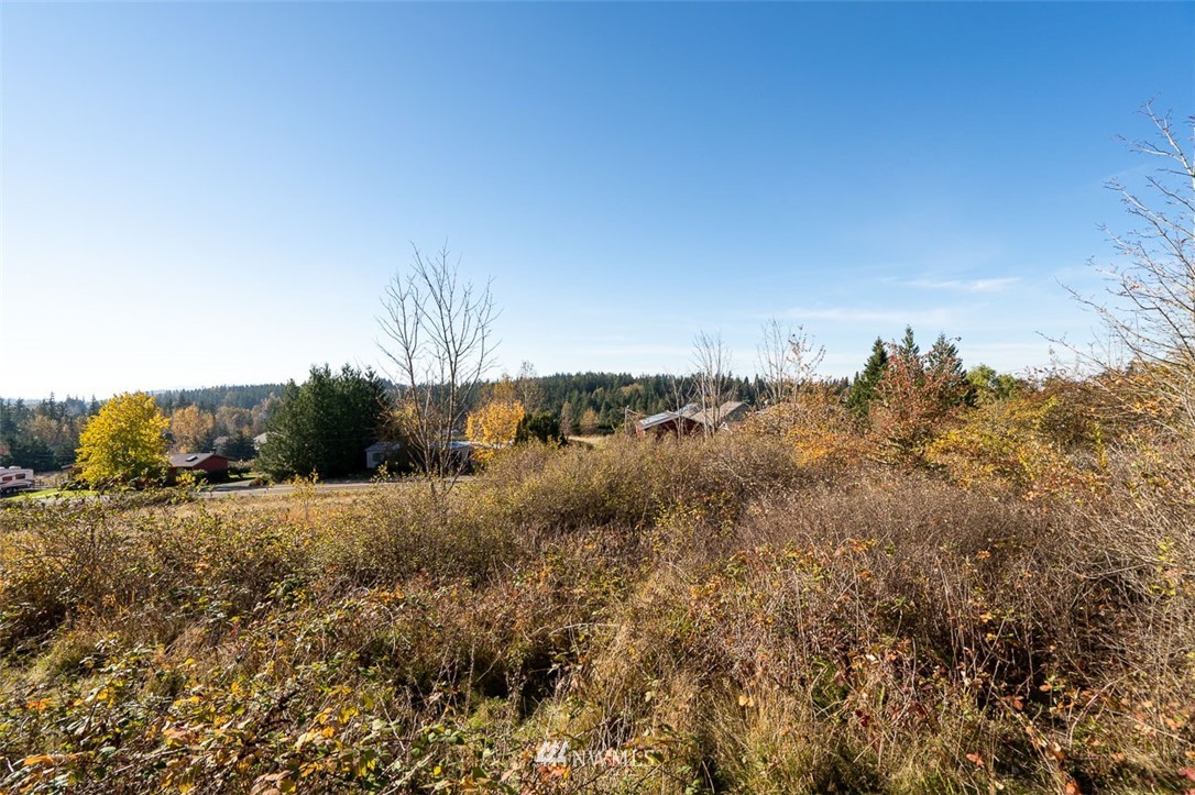 3739 Toad Lake Road Bellingham, WA 98226 - Photo 23 of 35 Gallery Image 23