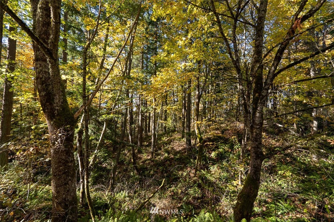 3739 Toad Lake Road Bellingham, WA 98226 - Photo 6 of 35 Gallery Image 6