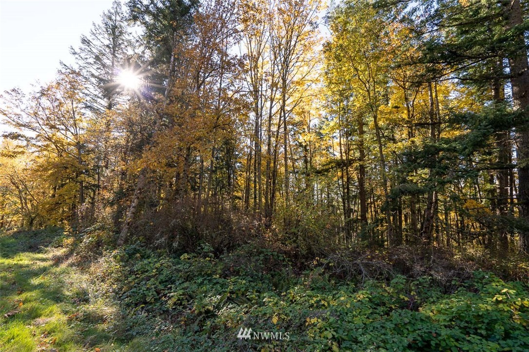 3739 Toad Lake Road Bellingham, WA 98226 - Photo 8 of 35 Gallery Image 8