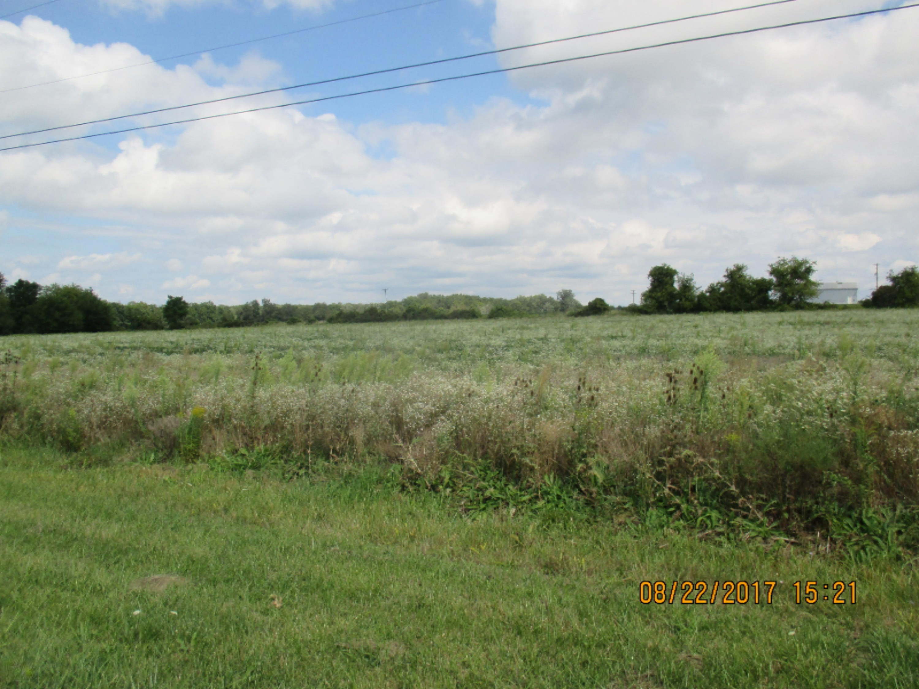 Vl Marshall Road Coldwater, MI 49036 - Photo 1 of 7 IMG_5138