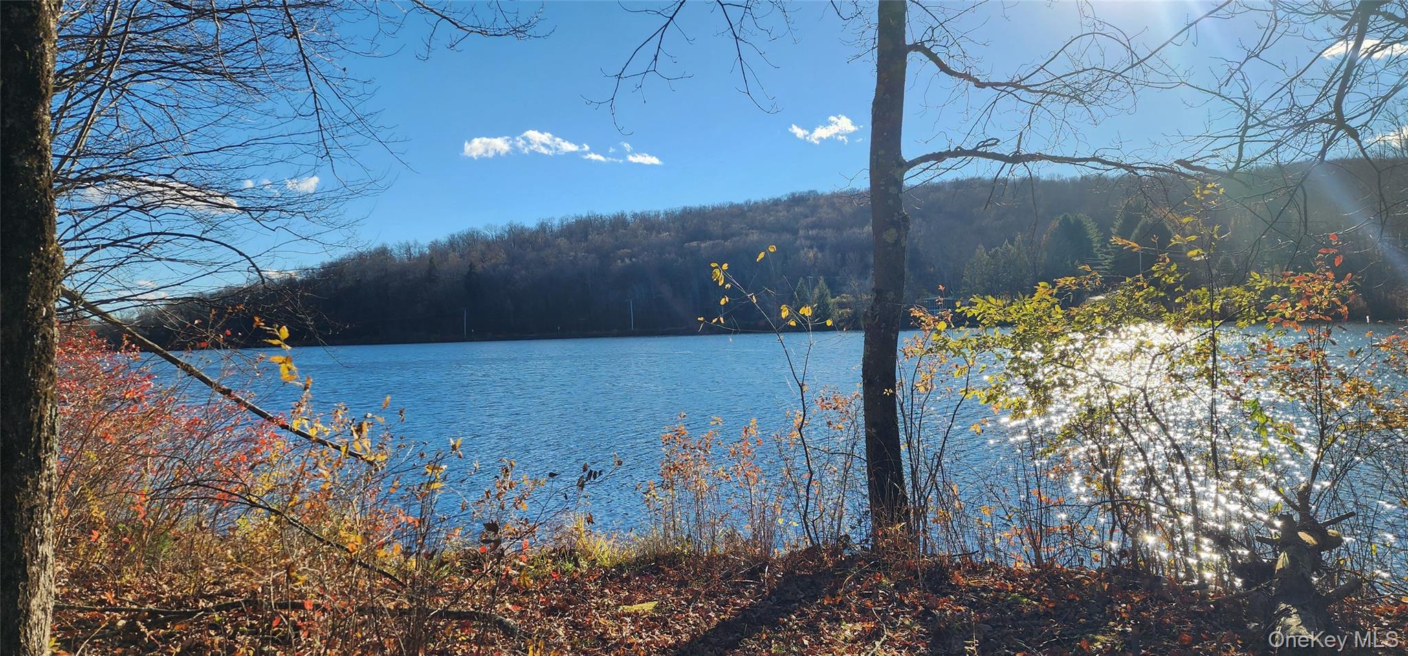 371 Kelly Bridge Road, Unit 365 Swan Lake, NY 12783 - Photo 15 of 21 a view of a yard